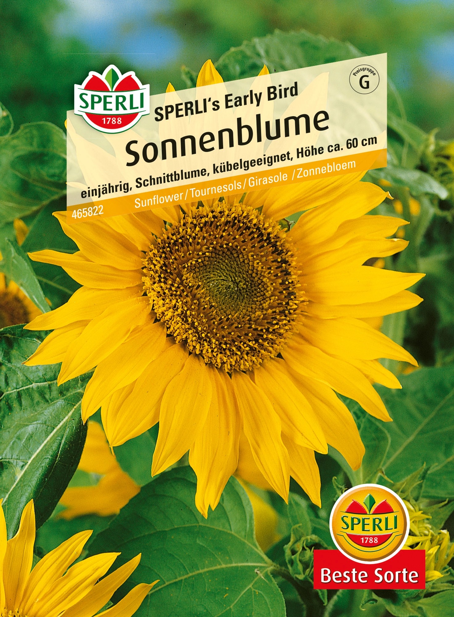 Sperli Sonnenblume Sperli S Early Bird Gelb Helianthus Kaufen Bei Obi