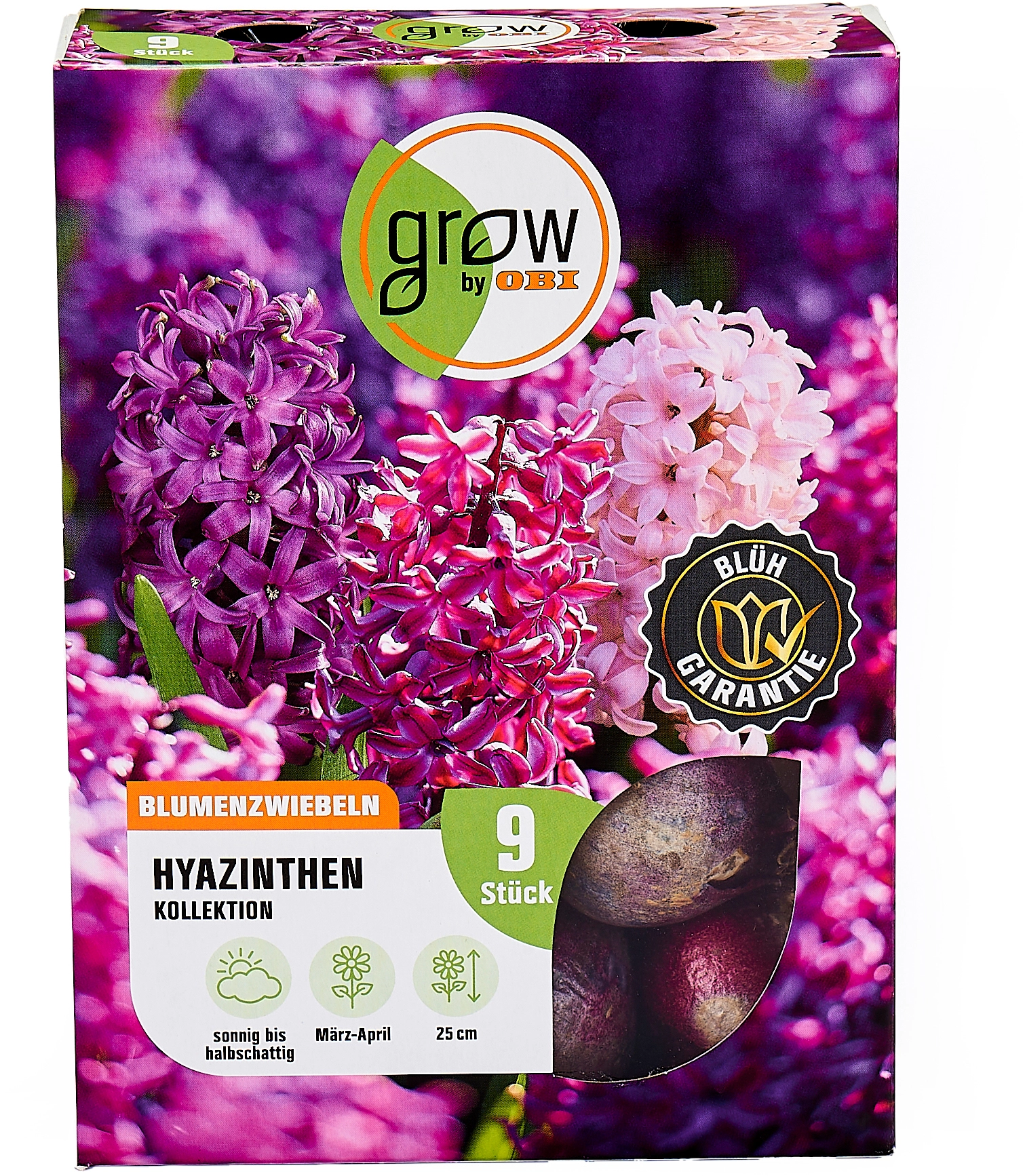 GROW by OBI Hyazinthen Blumenzwiebel Kollektion 9 Stück Hyacinthus