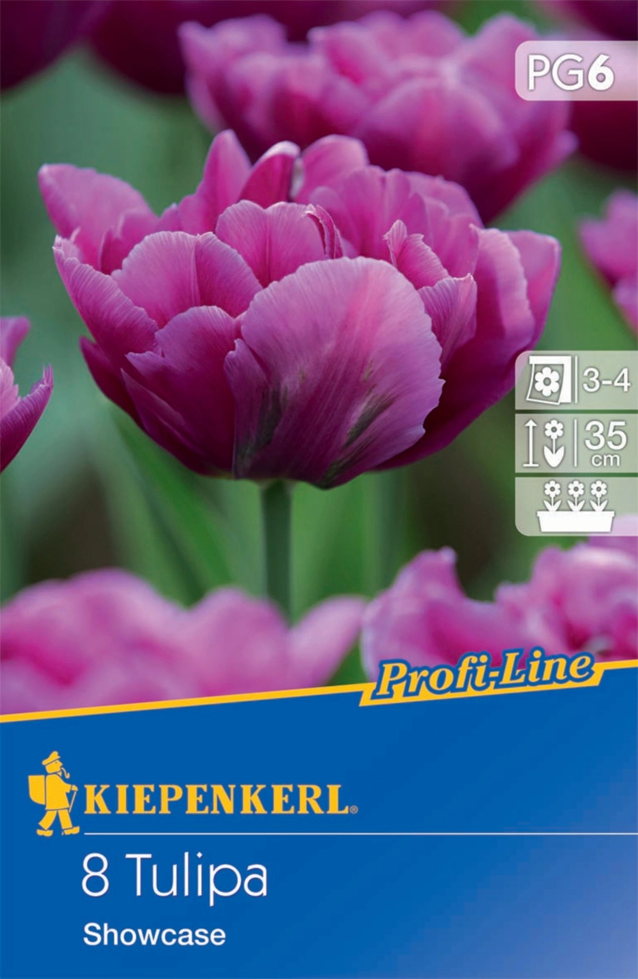 Kiepenkerl Profi Line Gef Llte Fr He Tulpe Showcase St Ck Kaufen