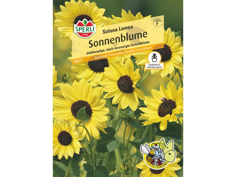 Sperli Sonnenblume Soluna Lemon Gelb Helianthus Kaufen Bei Obi