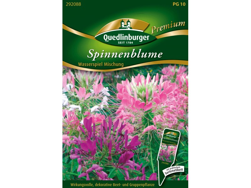 Quedlinburger Spinnenblume Wasserspiel Mischung Kaufen Bei Obi