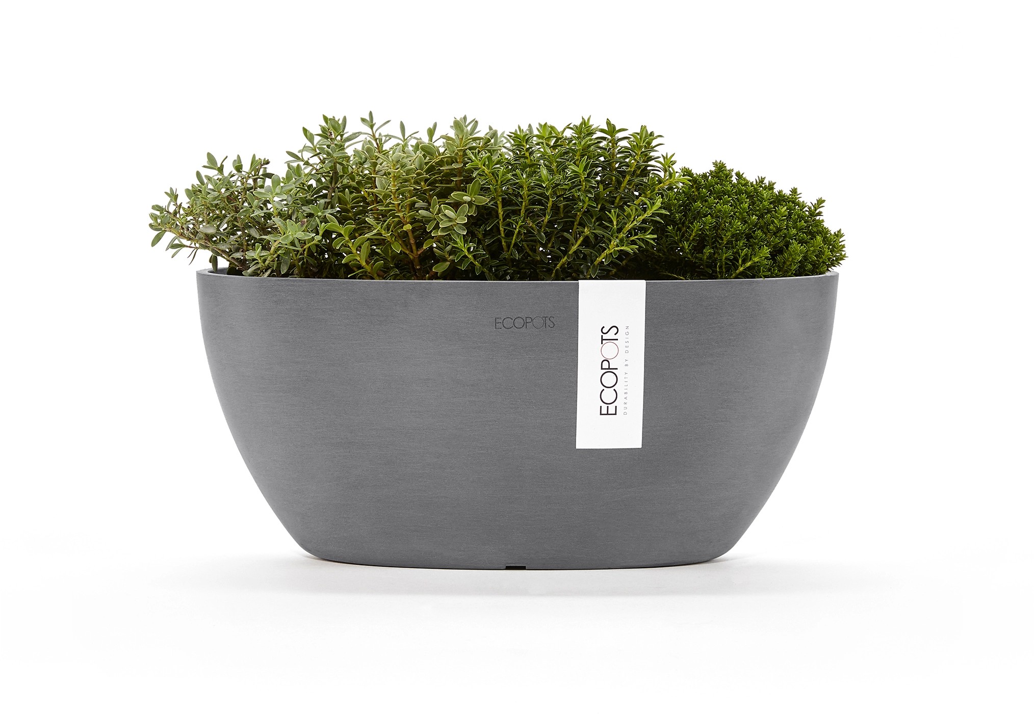 Ecopots Pflanzschale Sofia Cm X Cm Oval Grau Kaufen Bei Obi