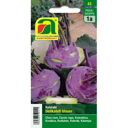 Austrosaat Saatgut Kohlrabi Delikate Blauer F R Fr H Und Sp Tkultur