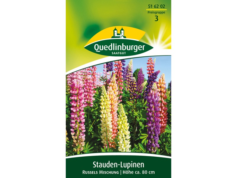 Quedlinburger Stauden Lupine Russels Mischung Kaufen Bei Obi