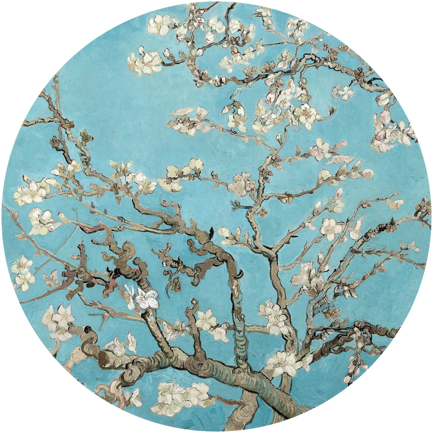 Erfurt Fototapete Vlies Almond Blossom Van Gogh Blue Cm Kaufen