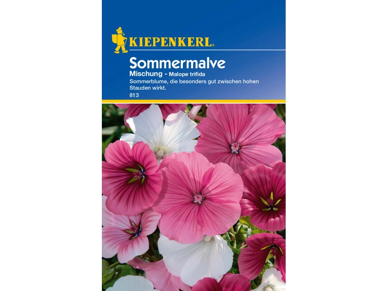 Kiepenkerl Sommermalve Mischung Mehrfarbig Kaufen Bei Obi