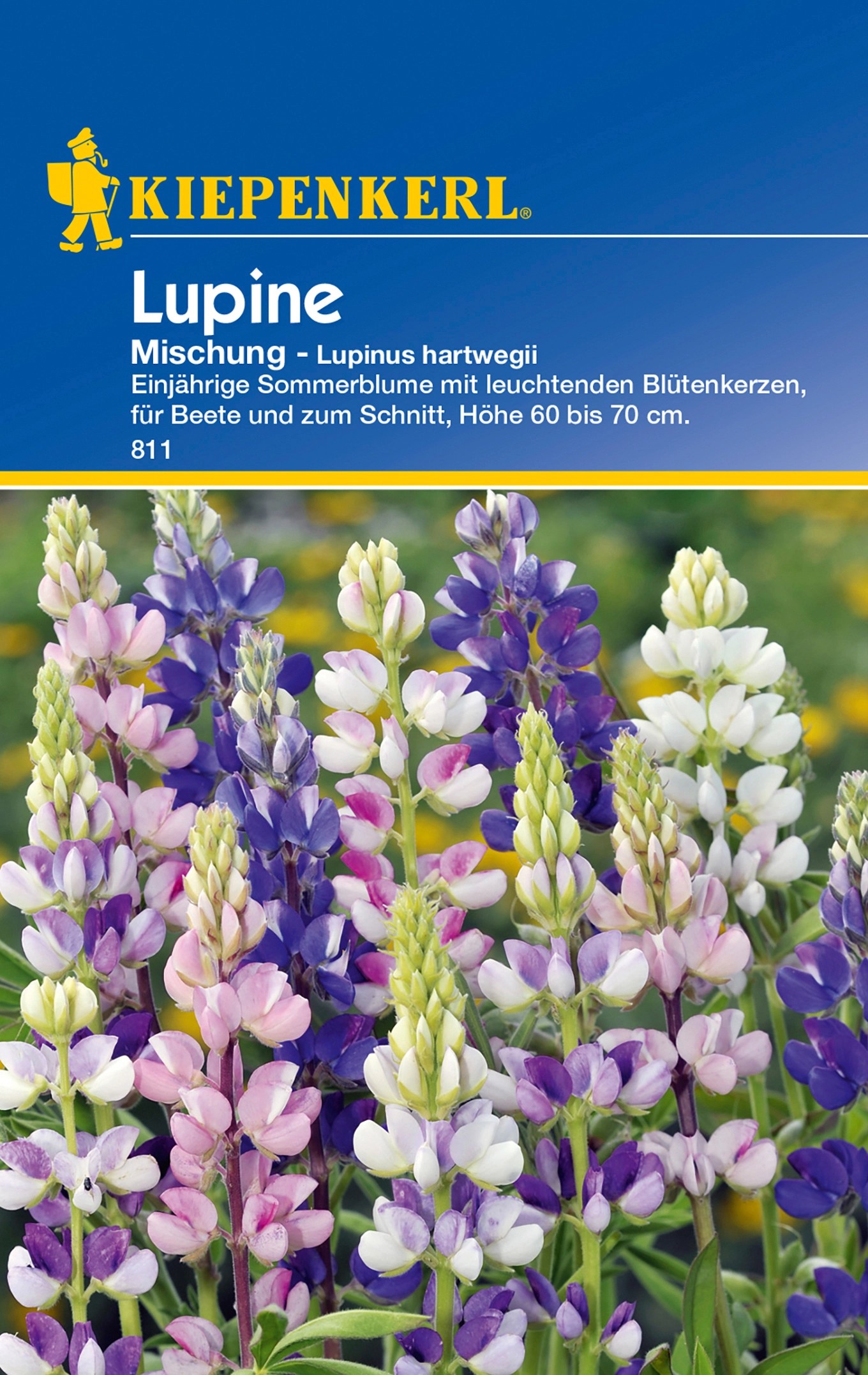 Kiepenkerl Lupine Mischung Mehrfarbig Kaufen Bei OBI