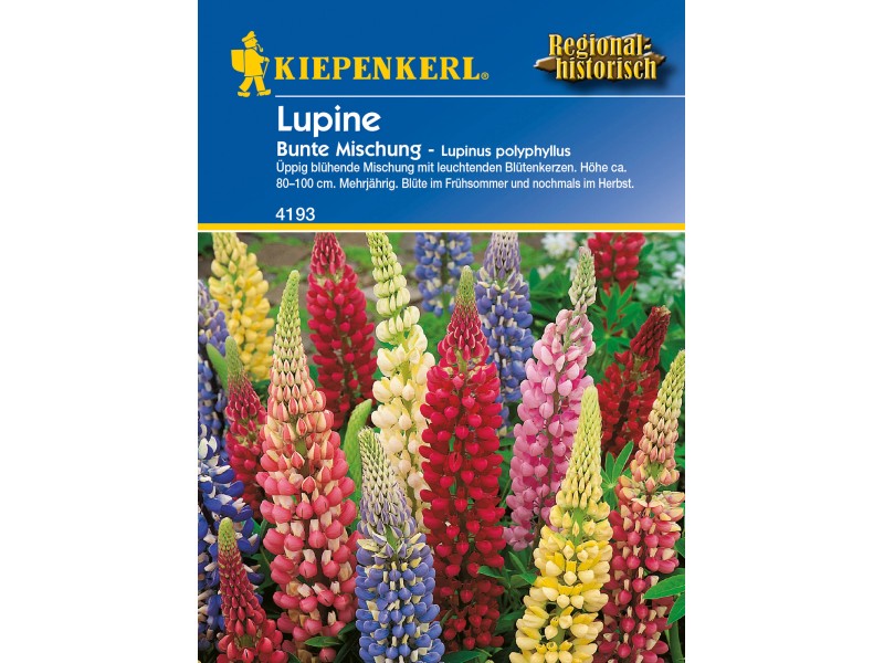 Kiepenkerl Lupine Bunte Mischung Lupinus Kaufen Bei Obi