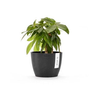 Ecopots Blumentopf Stockholm Dunkelgrau 16 cm