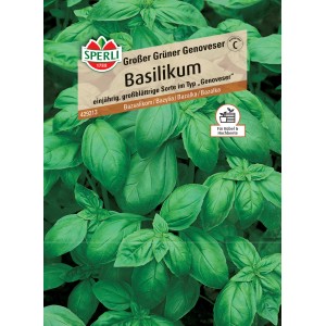 Sperli Basilikum "Grosses Grünes"