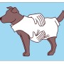 Illustration: Brauner Hund mit weißem Hundepullover Arktis, angezogen von Händen.