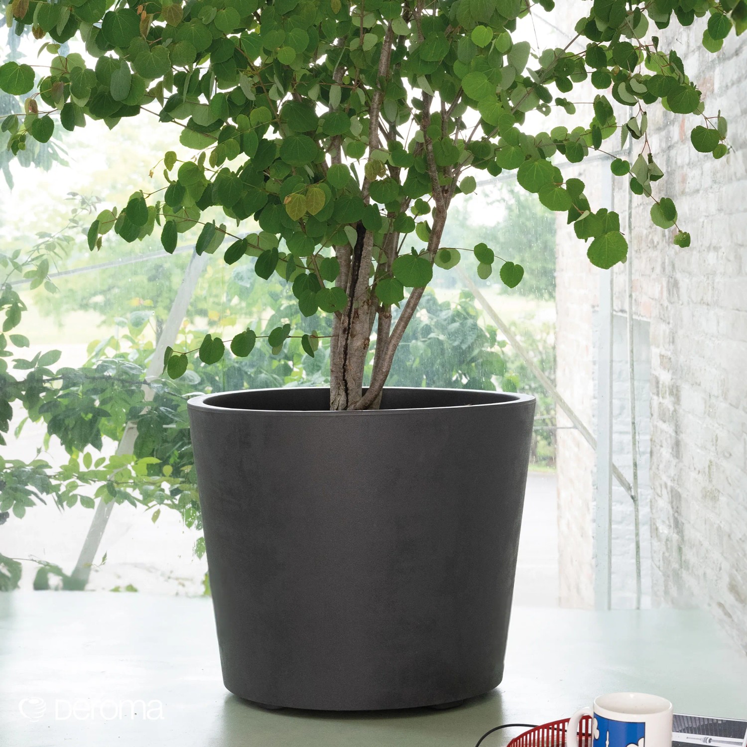 Deroma Pflanztopf Millennium mir Rollen  59 cm Anthrazit kaufen bei OBI