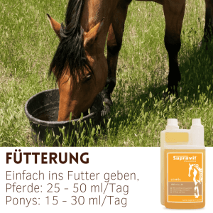 Braunes Pferd frisst auf Wiese. Supravit Leinöl Liquid Ergänzungsfuttermittel für Pferde in praktischer Dosierflasche.