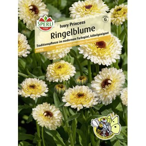 Samenpackung Sperli Ringelblume "Ivory Princess" mit cremefarbenen bis gelben Blüten.