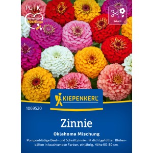 Kiepenkerl Zinnien Oklahoma Formelmischung, mehrfarbige Blumensamen für Beet und Vase.