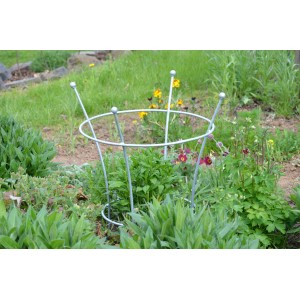 Feuerverzinkte Eleo Pflanzenstütze Grosetto (68 cm) im Gartenbeet.