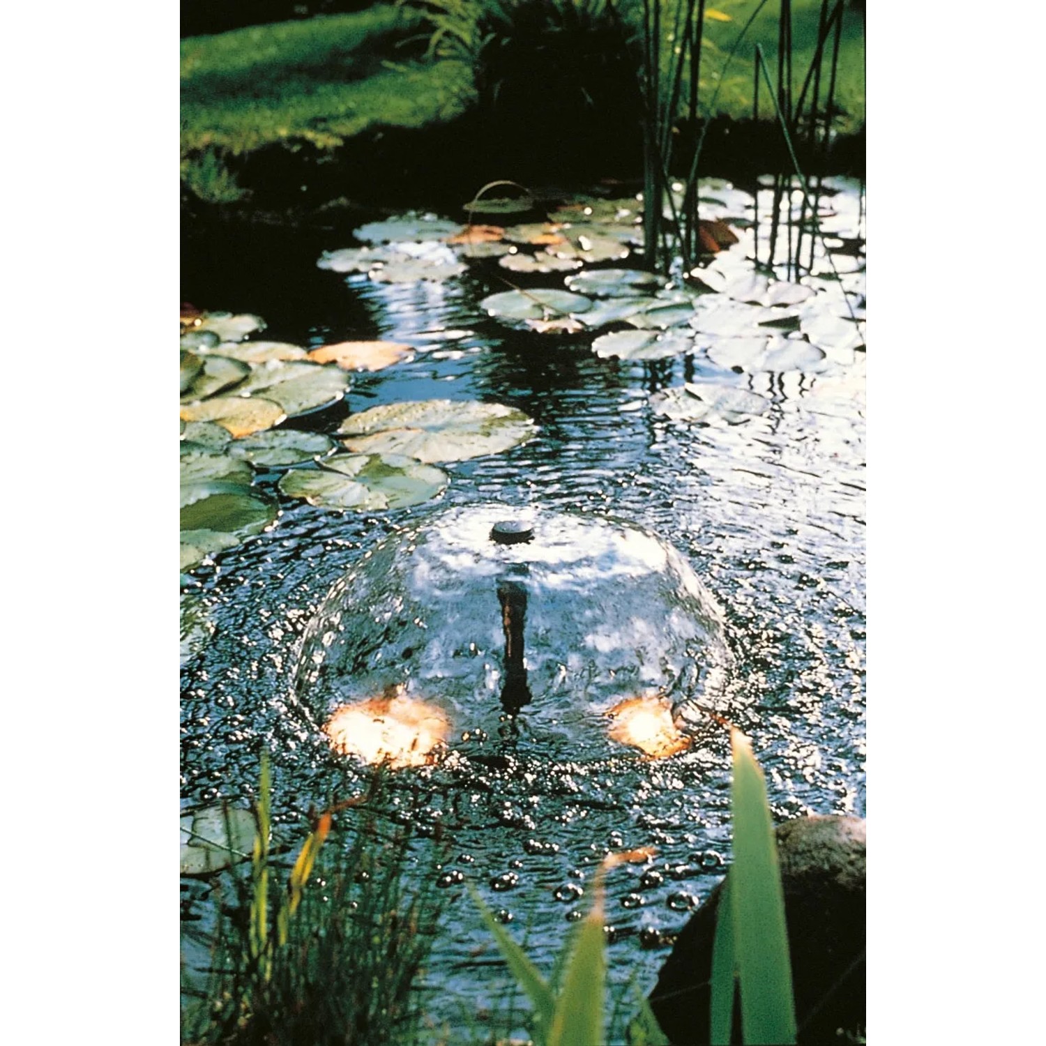 Ubbink Elimax 2000 Springbrunnenpumpe im Gartenteich mit Fontäne und Seerosen.