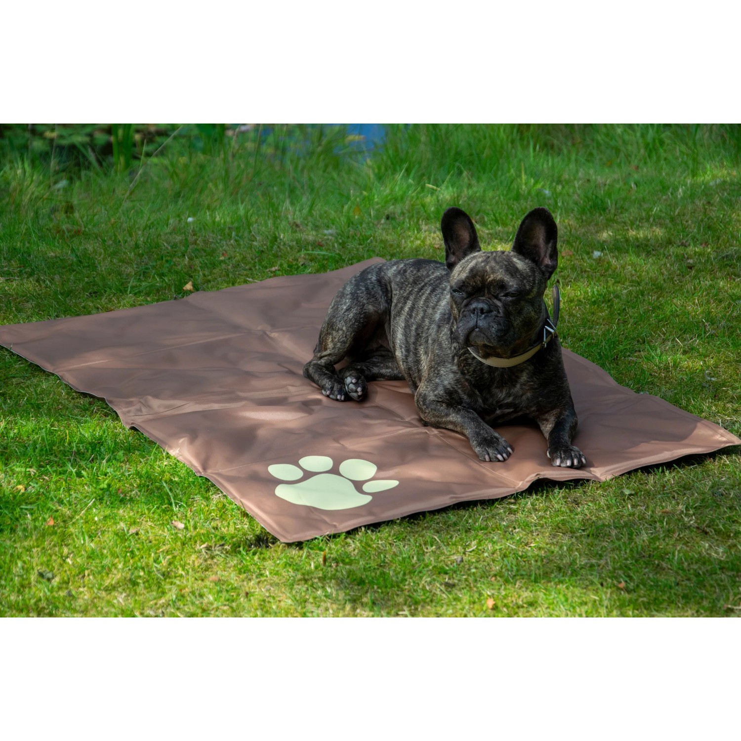 Braune Kühlmatte für Hunde (99,5x70cm) mit Pfotenmuster. Hund liegt entspannt auf der Matte im Garten.