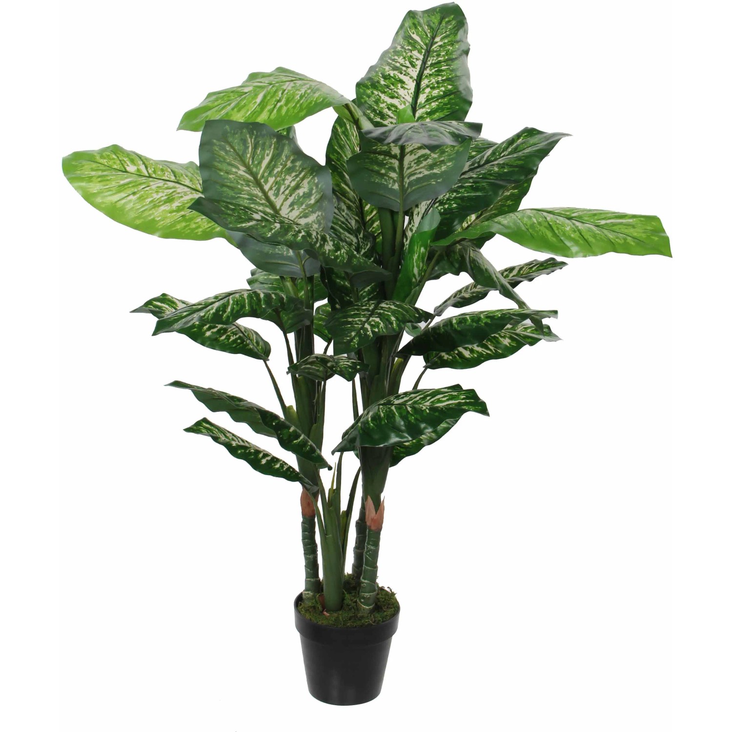 Mica Decorations Kunstpflanze Dieffenbachia H 105 cm, : 85 cm kaufen bei  OBI