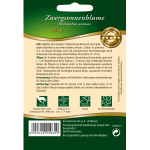 Saatgutpackung Quedlinburger Zwerg-Sonnenblume Ballad, pollenfreie Topfsonnenblume.