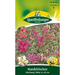 Quedlinburger Mandelröschen Mischung Blumensamen, einjährig, Höhe ca. 60cm, verschiedene Farben.