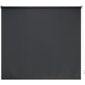 Graues Tageslicht-Rollo Zamora, 120x175 cm, für Sichtschutz ohne Verdunkelung.