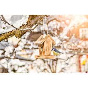 Geflammtes Vogelfuttersilo Cottage aus Holz mit Blaumeise im Winter.