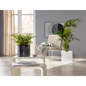Scheurich Übertopf 828 Panna, Ø 33cm, in modernem Wohnambiente mit Pflanzen.