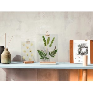 CREATE! by OBI DIY Bilderrahmen mit Pflanzen und Blüten, Dekorative Figuren.