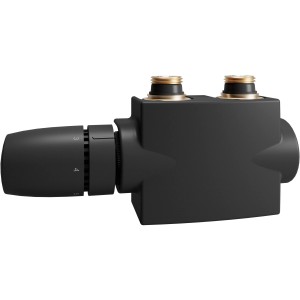 Schulte Design-Thermostatkopf Mittenanschlussgarnitur, mattschwarz, für Heizkörper-Installation.