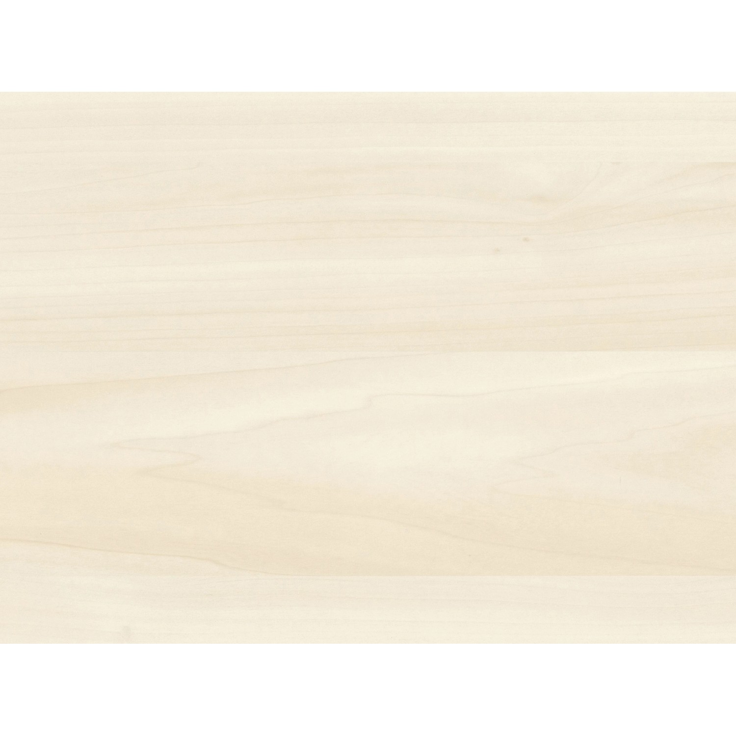 Helle Kronoflooring Dekor-Paneele in Holz Birke Taiga Optik für Wand und Decke.