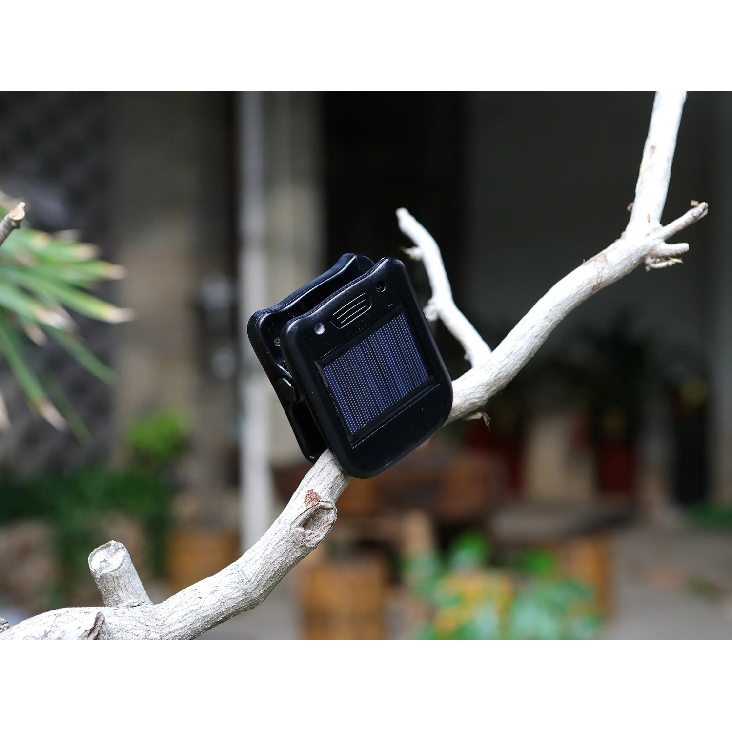 Schwarze Solar LED Gartenleuchte mit Clip an einem Ast. Wegeleuchte mit Bewegungsmelder.