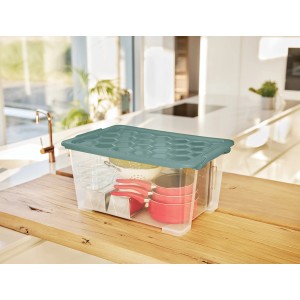 Rotho Box Evo Safe 44 l Mistletoe Green