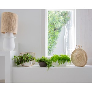 Artevasi San Remo Schale, Ø 23 cm, Weiß, mit Pflanzen auf einer Fensterbank.