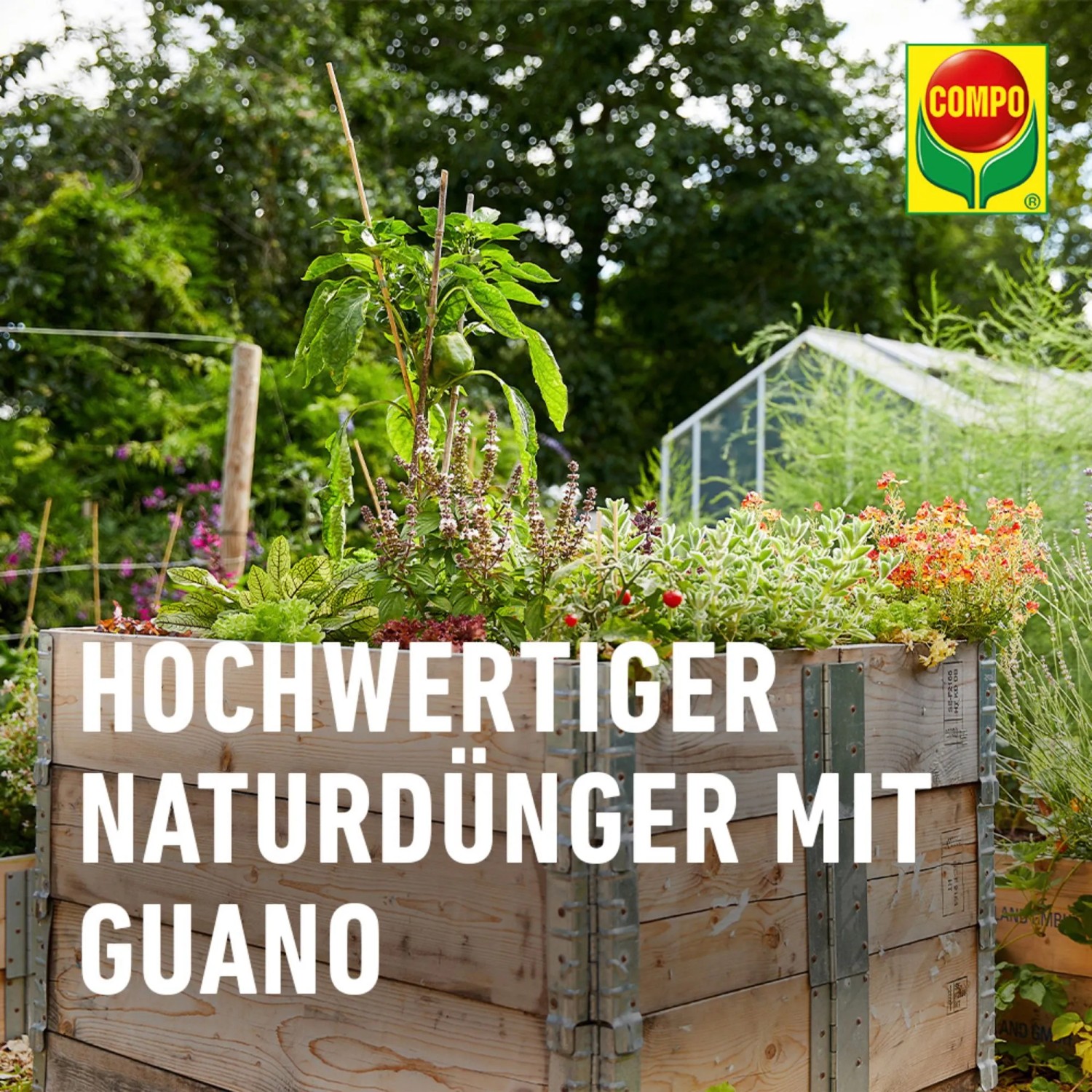 Compo Bio NaturDnger Guano 1 kg kaufen bei OBI