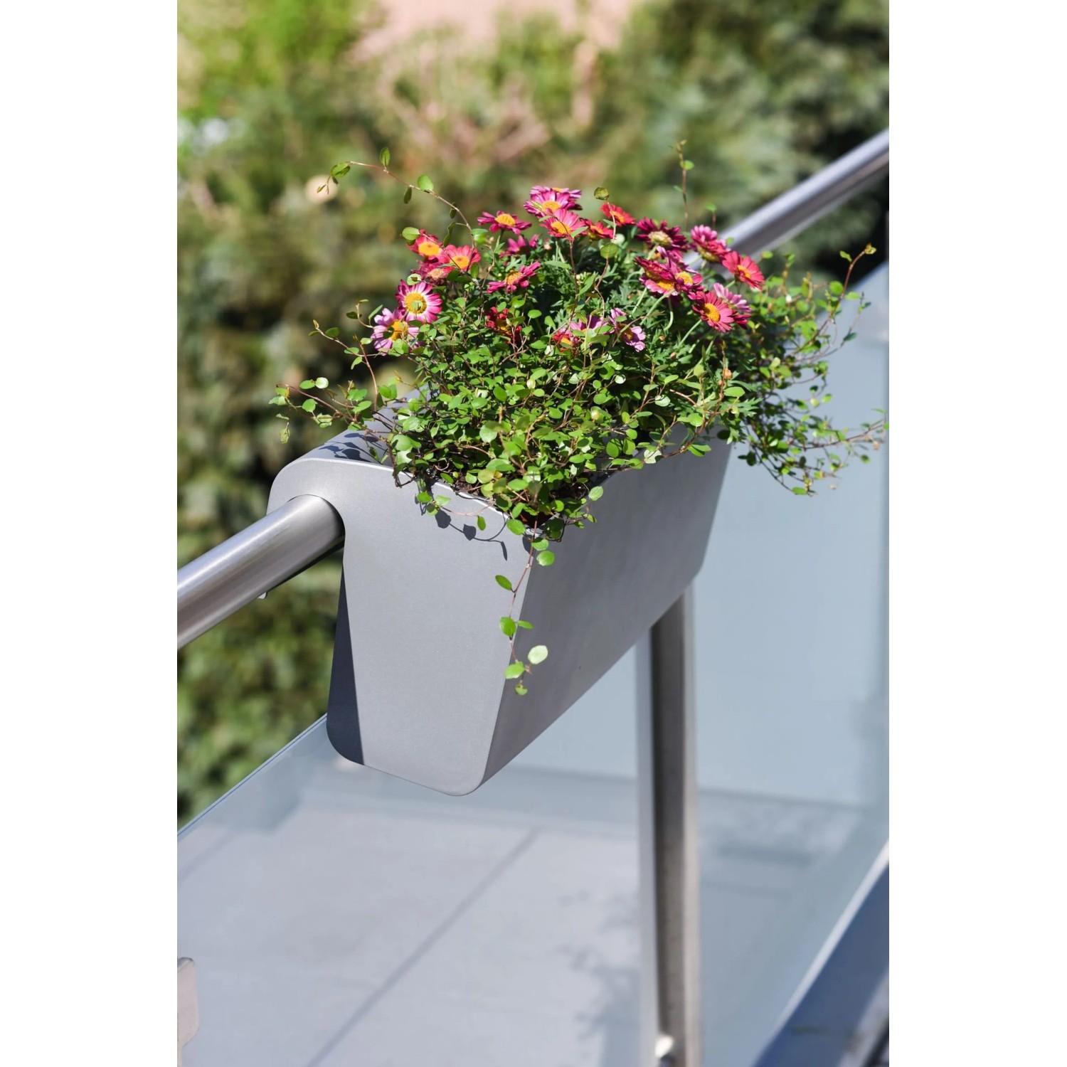 Vivanno Balkonkasten Balkona Classico mit Bewsserungssystem 50 cm  Anthrazit kaufen bei OBI