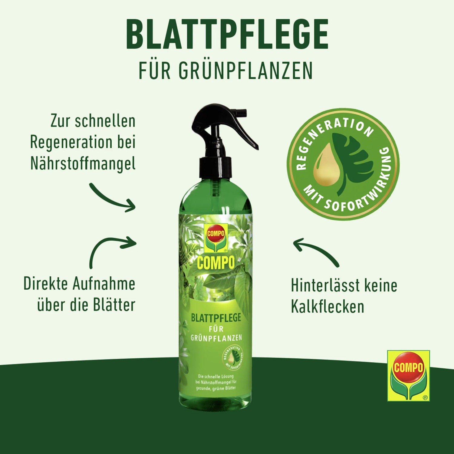 petersilienwurzel saatgut Petersilienwurzel Samen 'Halblange' | Gemsesamen