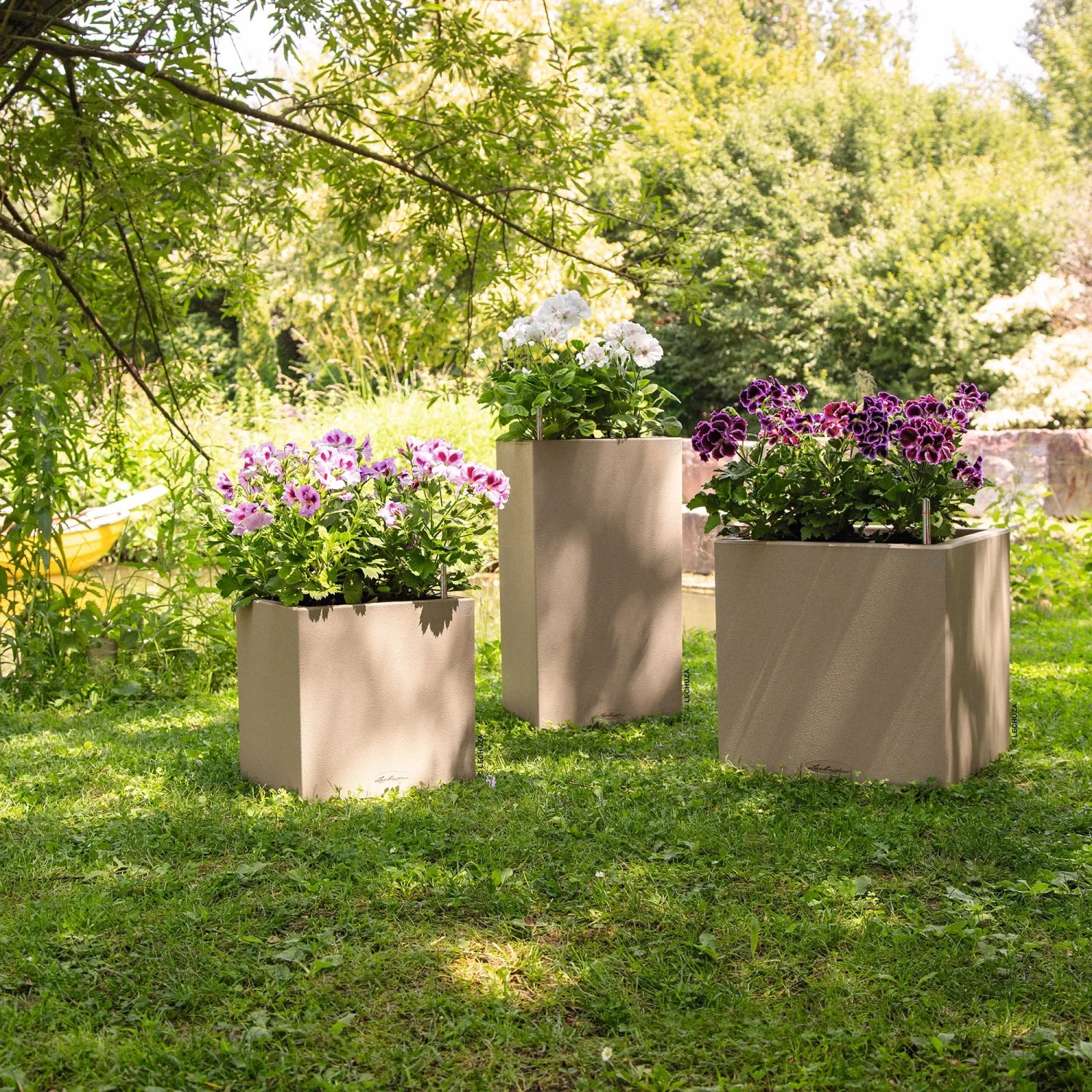 Lechuza Pflanzgef Canto Stone low 30 Sandbeige 30 cm x 30 cm kaufen bei  OBI