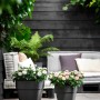 Anthrazitfarbene, viereckige Elho Vibia Campana Pflanzkübel mit Rosen auf einer Holzterrasse.