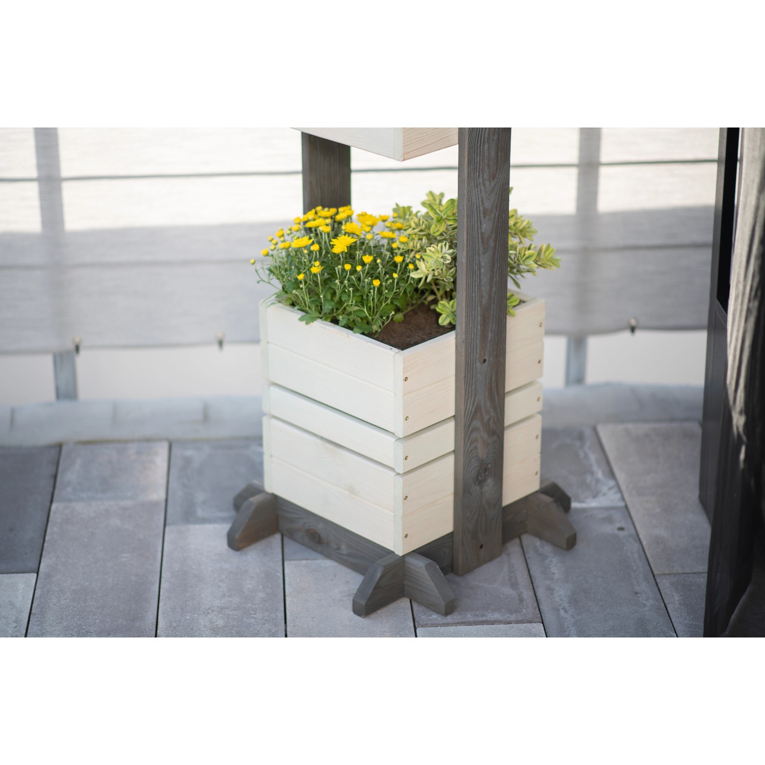 Westmann Pflanzkübel Holz Maja 50 cm x 170 cm x 50 cm Grau FSC® kaufen