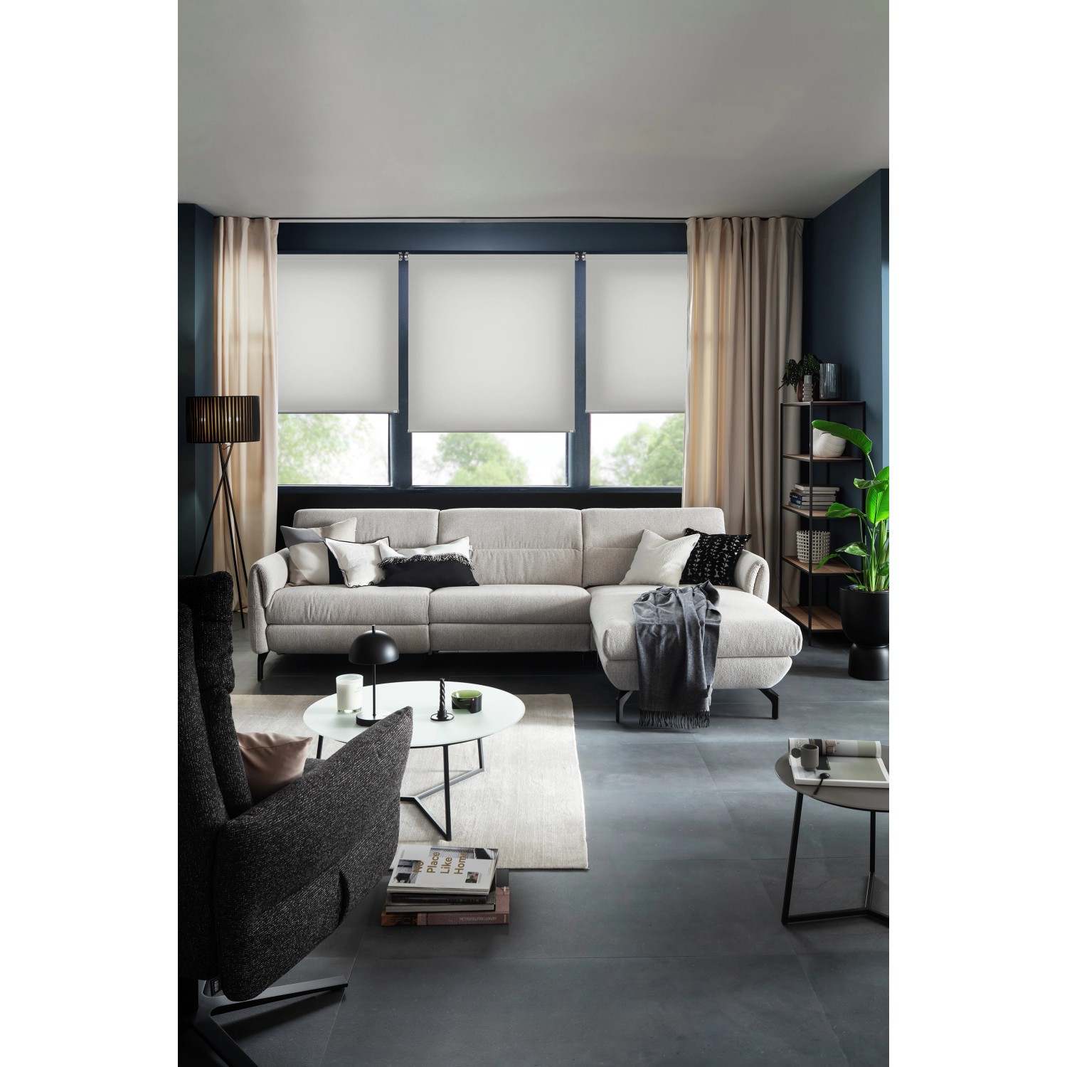 Schöner Wohnen Tageslicht-Rollo Tizia, 120x150 cm, hellgrau, in modernem Wohnzimmer.