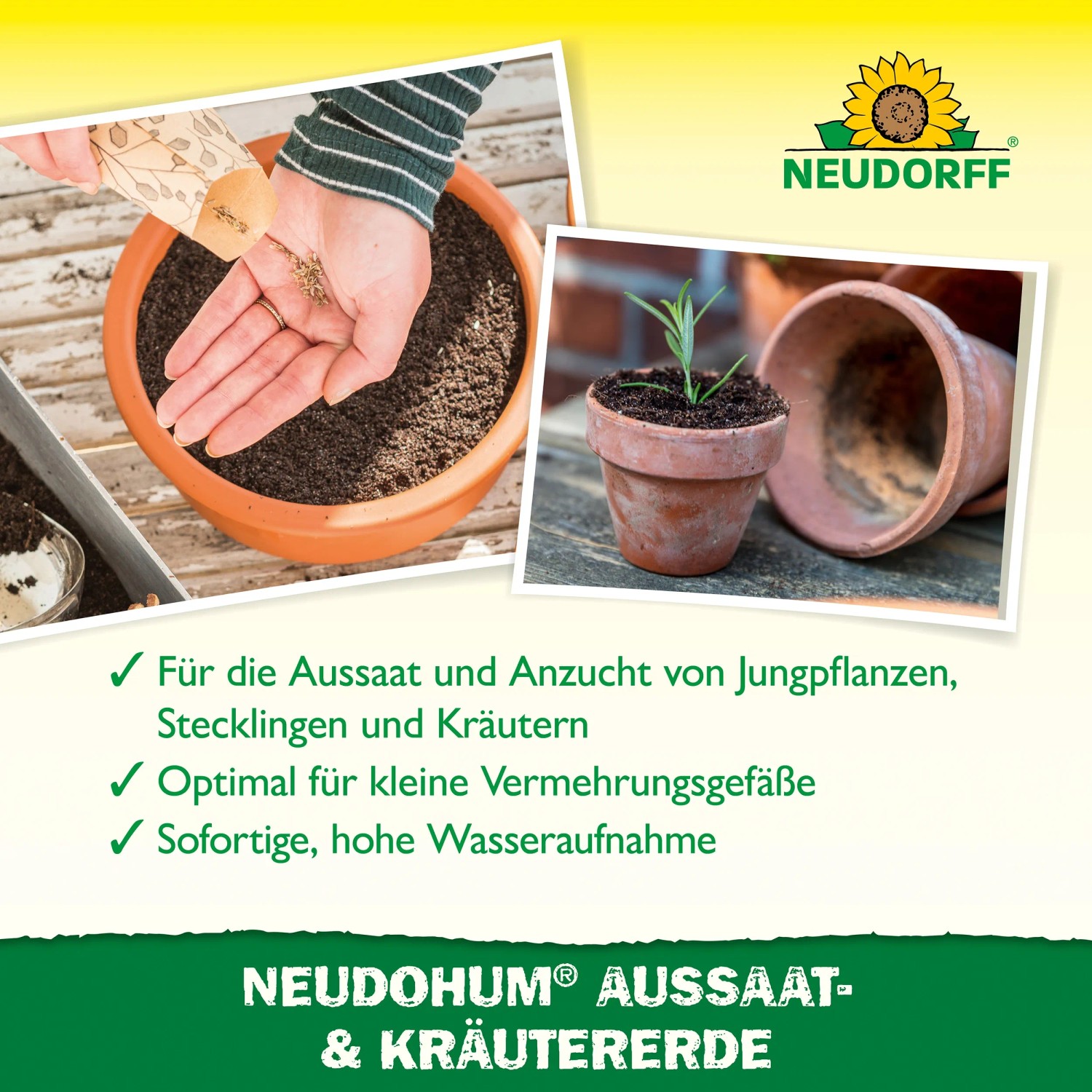 Neudorff Neudohum Aussaat- & Kräutererde in Anwendung: Aussaat und Anzucht im Topf.