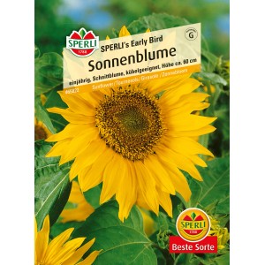 Samenpackung Sperli Sonnenblume 'Early Bird Gelb': Gelbe Sonnenblume, ideal als Schnittblume.