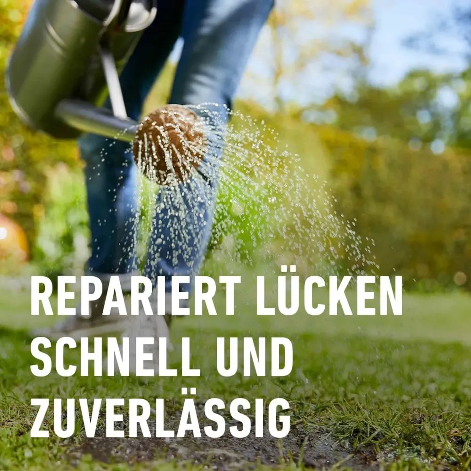 saatgut pflanzensamen rtsel Saatgut Geschenk-Set kaufen