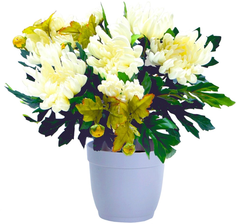 Kunstpflanze Chrysantheme im Topf Creme kaufen bei OBI