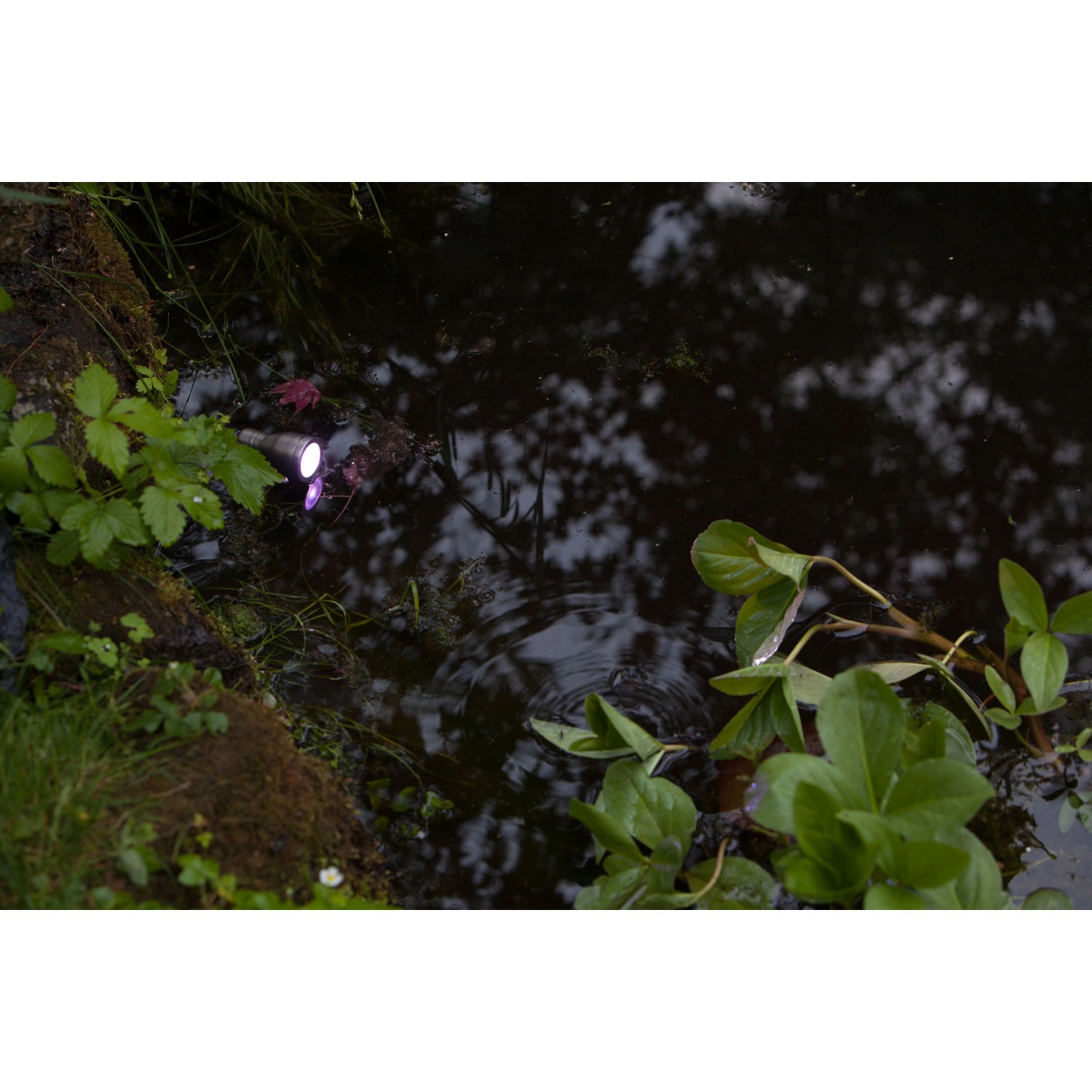 Heissner SMART LIGHT LEDSpot für Teich Pool und Garten 3 Watt