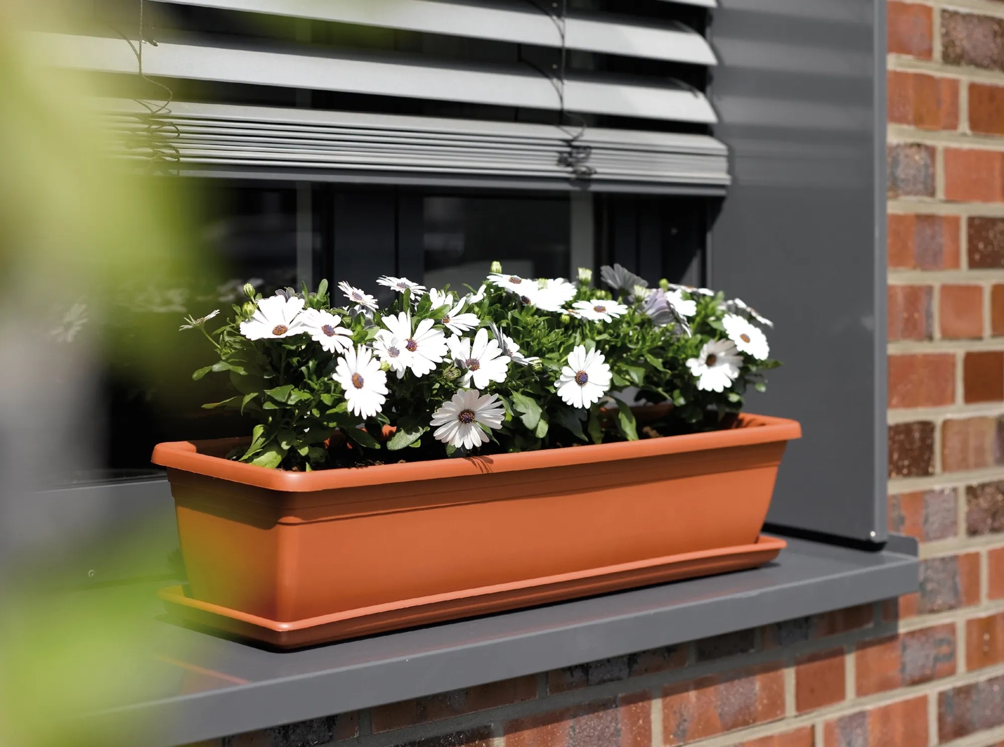 Florus Blumenkasten Mediterran mit Bewässerungssystem 60 cm terrakotta