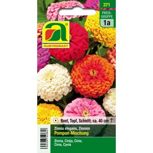 Austrosaat Zinnien Pompon Mischung, mehrfarbig. Blumensamen für Beet, Topf und Schnittblumen.