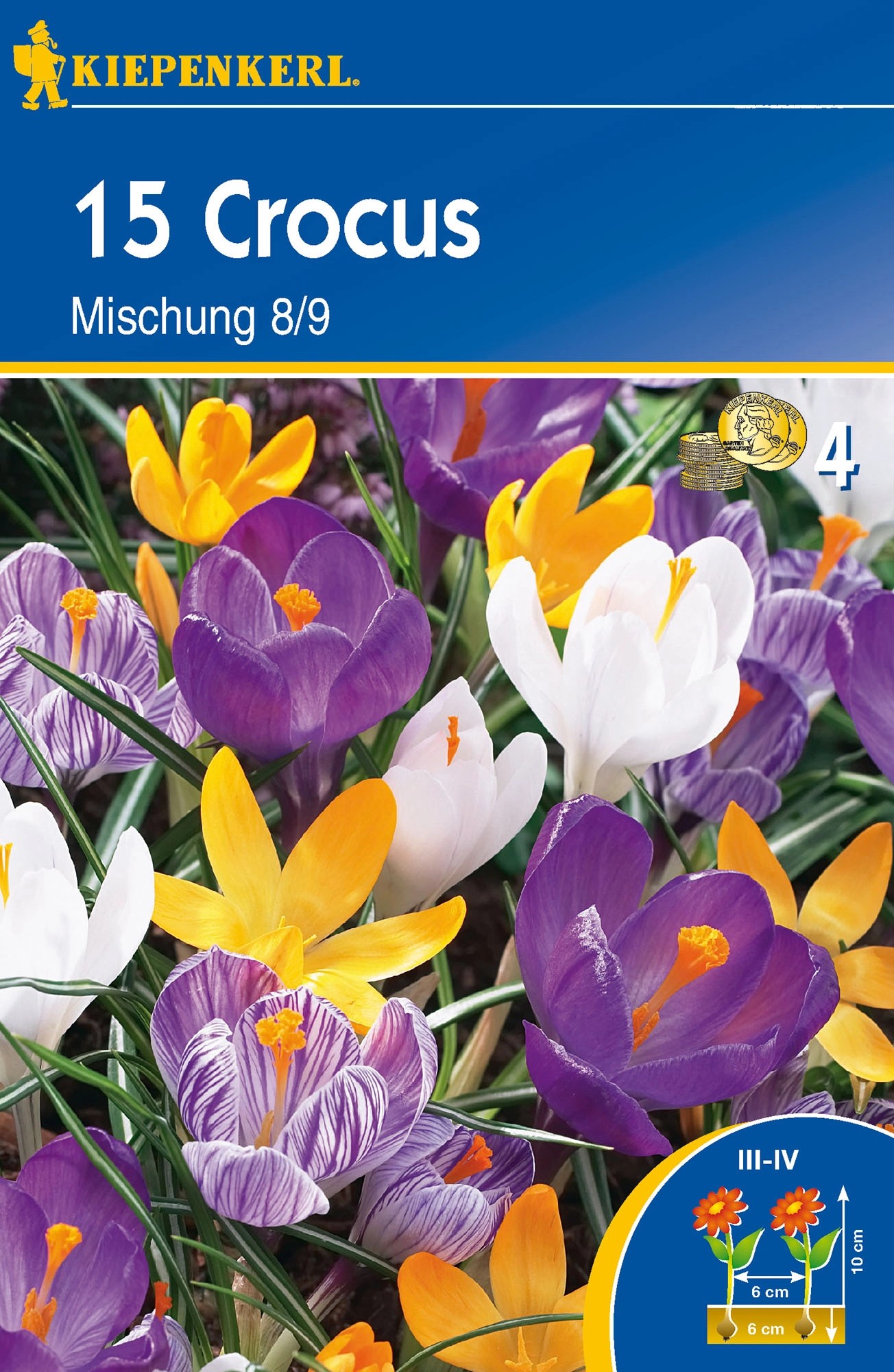 Großblumige Krokusse Mischung kaufen bei OBI