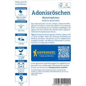 Kiepenkerl Adonisröschen Blutströpfchen Saatgutpackung. Blumensamen für rote Wildblumen.